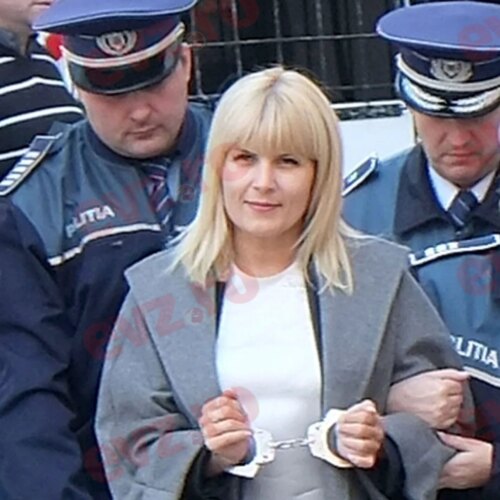 Elena Udrea, în pericol?