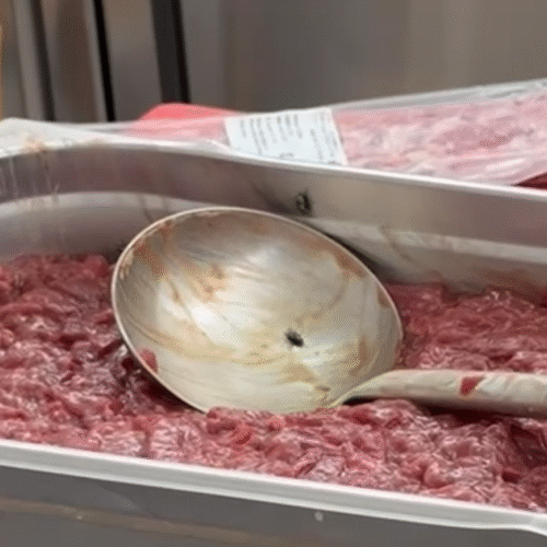 Amenzi litoral 155.000 lei