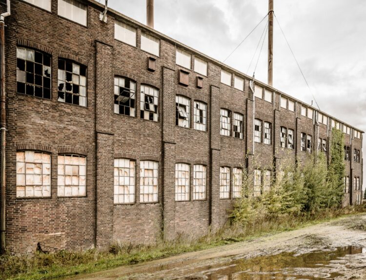 Gigantul modei românești