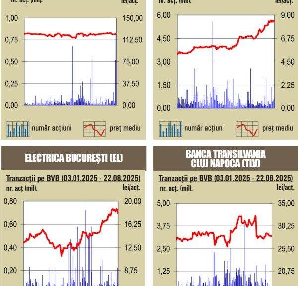 BVB: Deprecieri pe majoritatea indicilor