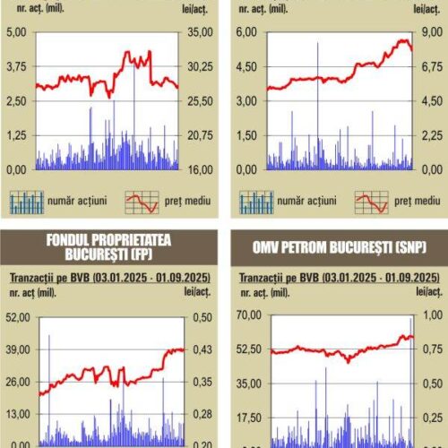 BVB: Scăderi pe indici
