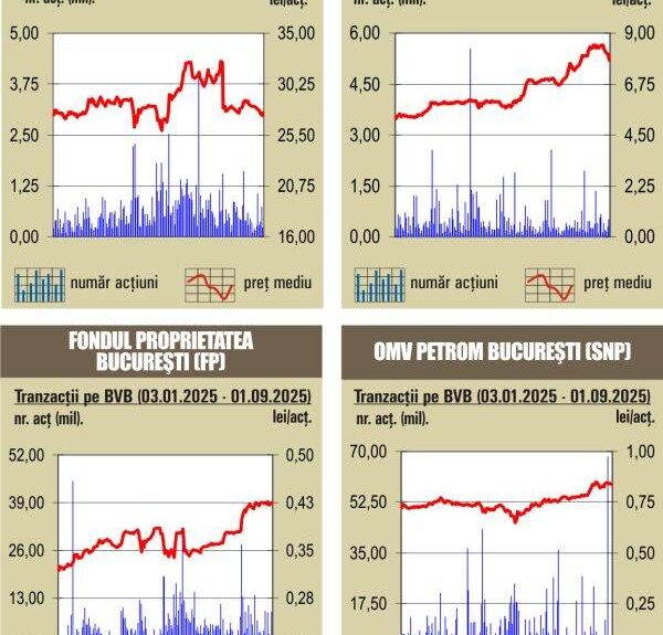 BVB: Scăderi pe indici