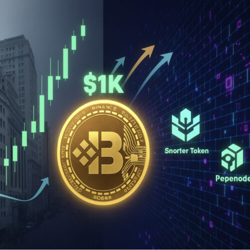 Cumpără aceste altcoins când BNB explodează