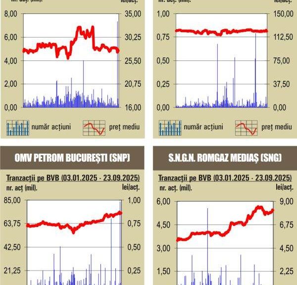 Scăderi ale indicilor bursieri la BVB