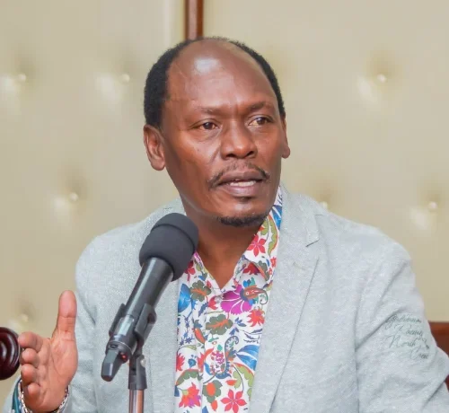 Parteneriat Româno-Kenyan pentru Viitor Digital