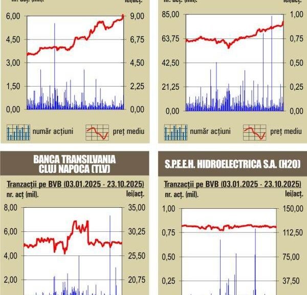 Recorduri bursiere la BVB