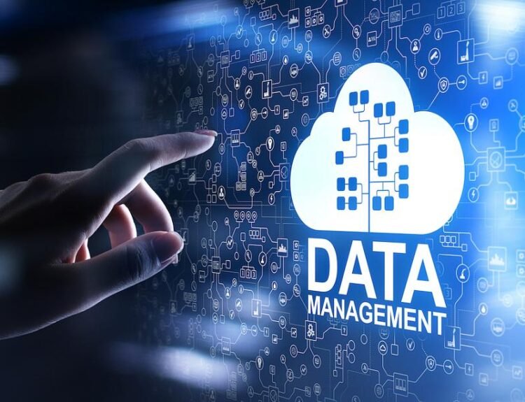 Companiile românești rămân în urmă în adoptarea cloud și AI