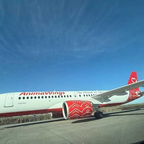 AnimaWings adaugă avioane și lansează șase rute noi în România