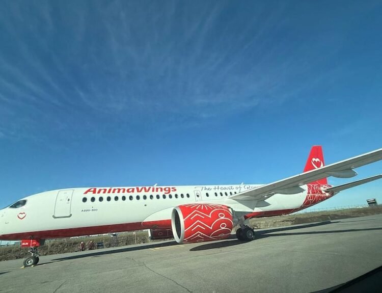AnimaWings adaugă avioane și lansează șase rute noi în România