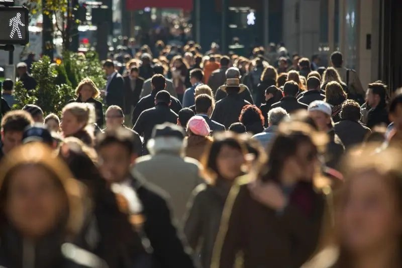 Câți angajați sunt în România? Date recente de la Ministerul Muncii