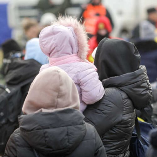 Creșterea cererilor de azil în februarie 2026: Analiză detaliată