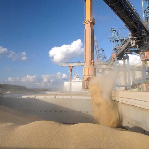 Exporturile agricole generează un surplus record de 24,7 miliarde €