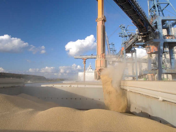 Exporturile agricole generează un surplus record de 24,7 miliarde €