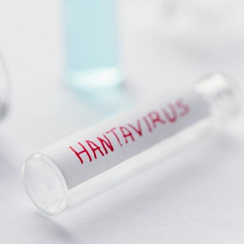 Hantavirus: Ministerul Sănătății asigură românii că nu e o amenințare