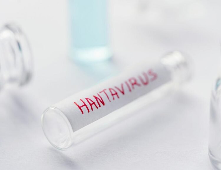 Hantavirus: Ministerul Sănătății asigură românii că nu e o amenințare