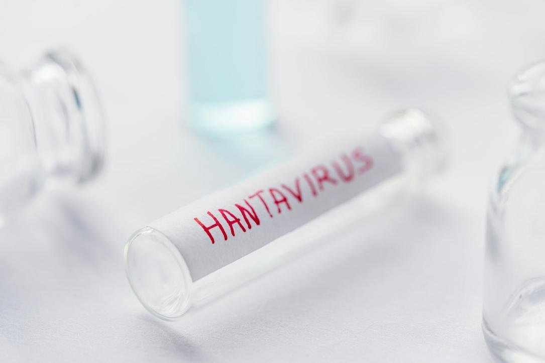 Hantavirus: Ministerul Sănătății asigură românii că nu e o amenințare