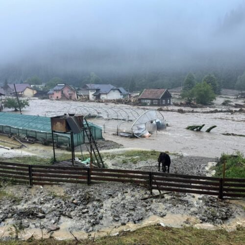 Firmele de asigurări din România: 21 de daune plătite zilnic din furtuni și inundații