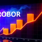 Controverse ROBOR: Universitatea neagă anomalii semnalate de Consiliul Concurenței
