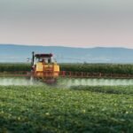 Insoviențele din agricultura română au crescut cu 80% în primul semestru din 2026