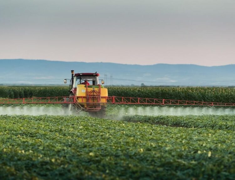 Insoviențele din agricultura română au crescut cu 80% în primul semestru din 2026
