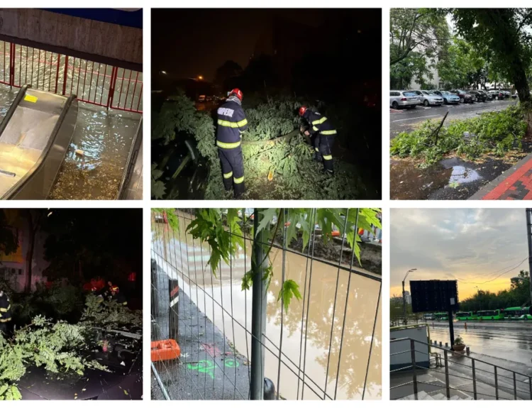 OMNIASIG a înregistrat 205 dosare de daună cauzate de furtuni în București și Ilfov