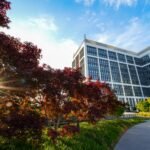 Mogo România își mută birourile în Business Garden Bucharest