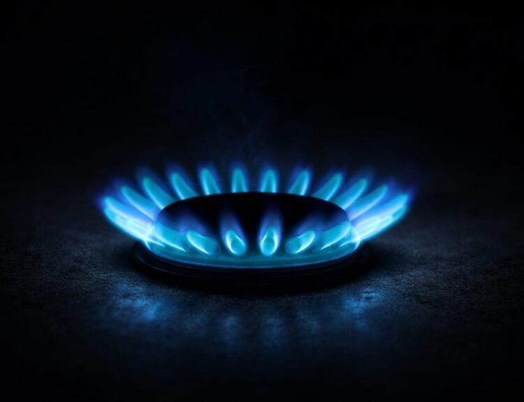 Prețul gazelor naturale ar putea depăși 100 euro/MWh în decembrie 2026, avertizează Goldman Sachs