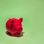 Camera Deputaților a aprobat legea privind economiile și pensiile private