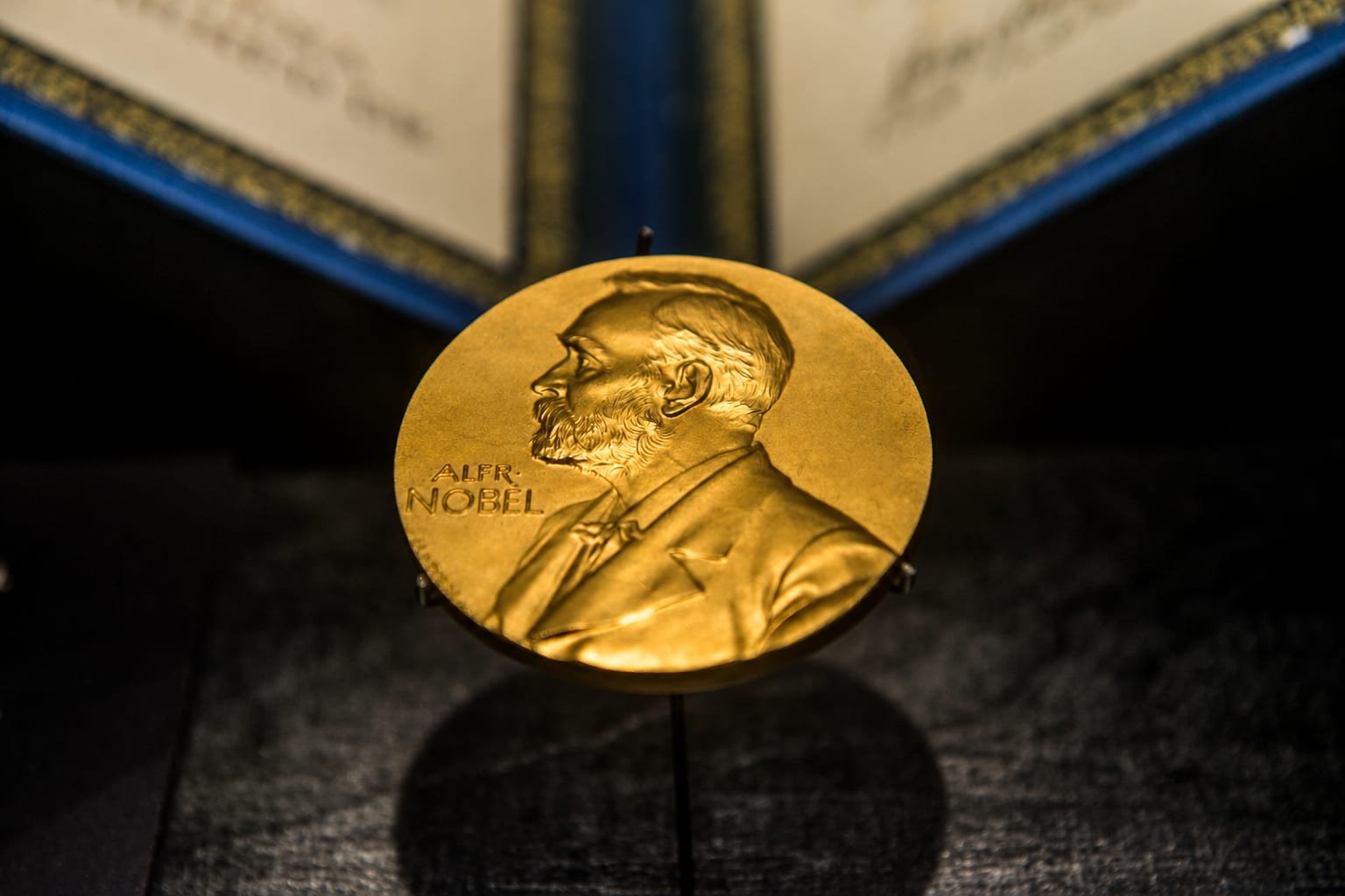Robert E. Hall și Michael Woodford, laureați Nobel în economie 2026