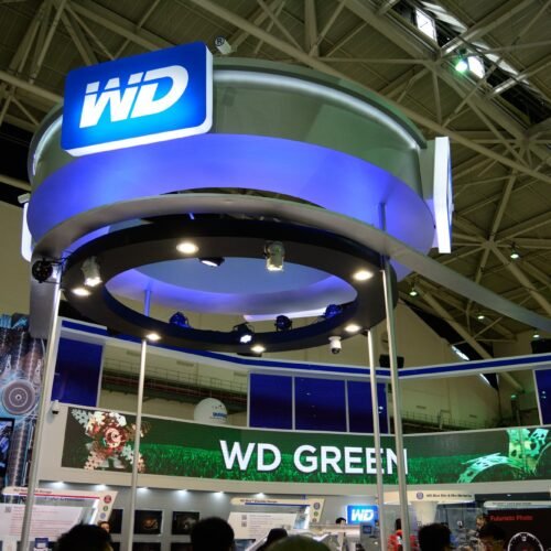 WD: Câștiguri peste așteptări, acțiuni în scădere